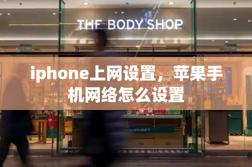 iphone上网设置，苹果手机网络怎么设置