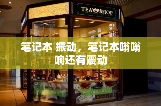 笔记本 振动，笔记本嗡嗡响还有震动