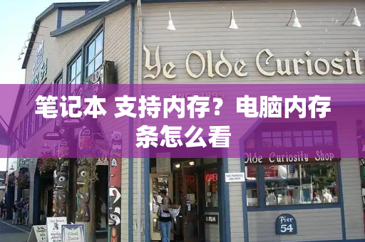 笔记本 支持内存？电脑内存条怎么看-第1张图片-星选测评