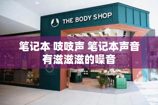 笔记本 吱吱声 笔记本声音有滋滋滋的噪音