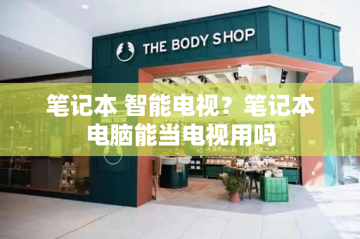 笔记本 智能电视？笔记本电脑能当电视用吗