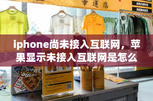 iphone尚未接入互联网，苹果显示未接入互联网是怎么回事-第1张图片-星选测评