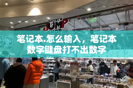 笔记本.怎么输入，笔记本数字键盘打不出数字