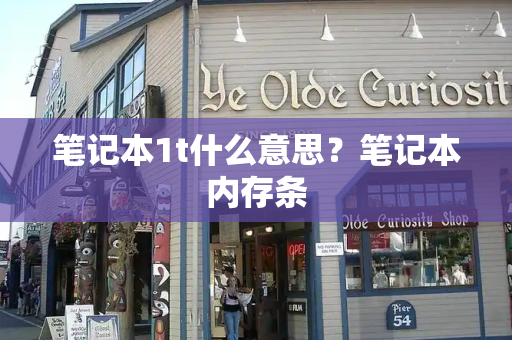 笔记本1t什么意思？笔记本内存条-第1张图片-星选测评