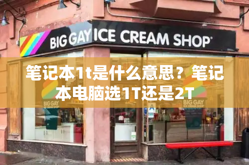 笔记本1t是什么意思？笔记本电脑选1T还是2T