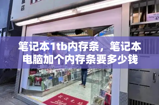 笔记本1tb内存条，笔记本电脑加个内存条要多少钱-第1张图片-星选测评