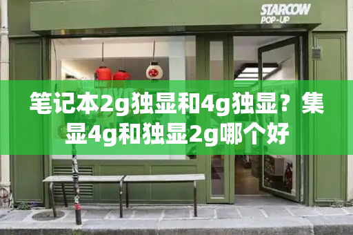 笔记本2g独显和4g独显？集显4g和独显2g哪个好-第1张图片-星选测评