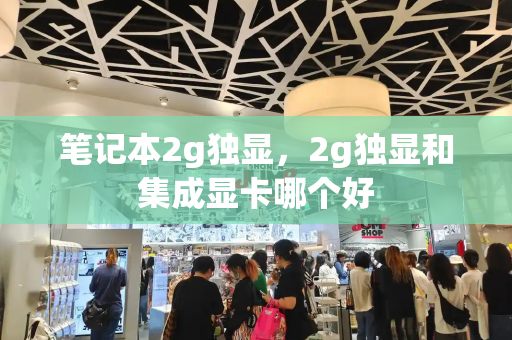 笔记本2g独显，2g独显和集成显卡哪个好-第1张图片-星选测评