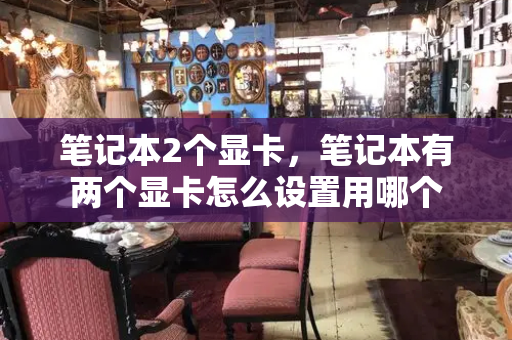 笔记本2个显卡，笔记本有两个显卡怎么设置用哪个