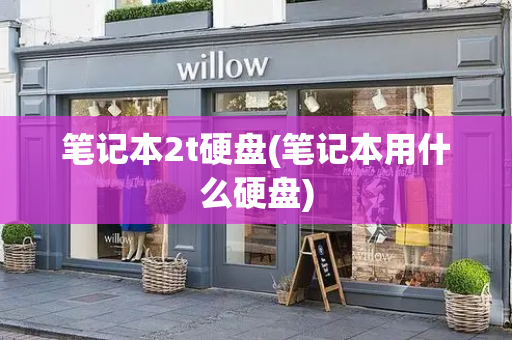 笔记本2t硬盘(笔记本用什么硬盘)