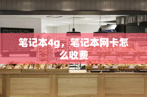 笔记本4g，笔记本网卡怎么收费-第1张图片-星选测评