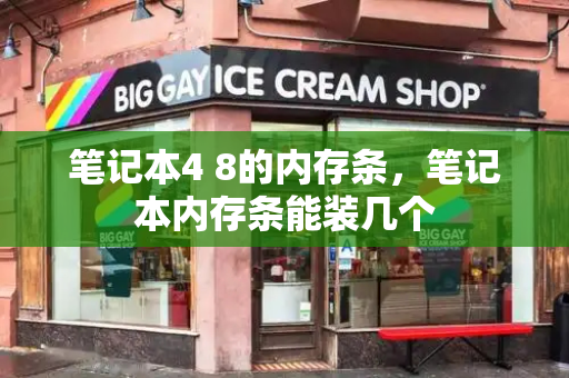 笔记本4 8的内存条，笔记本内存条能装几个