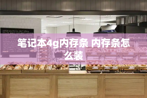 笔记本4g内存条 内存条怎么装-第1张图片-星选测评