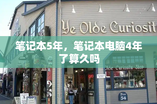 笔记本5年，笔记本电脑4年了算久吗-第1张图片-星选测评
