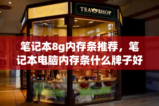 笔记本8g内存条推荐，笔记本电脑内存条什么牌子好-第1张图片-星选测评