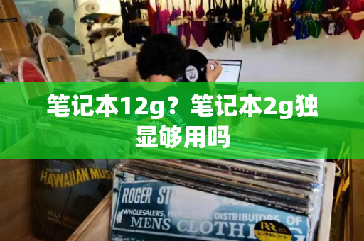 笔记本12g？笔记本2g独显够用吗