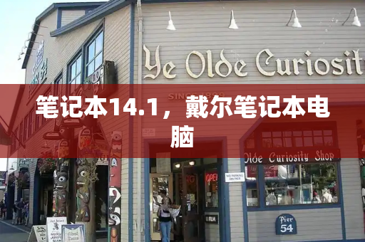 笔记本14.1，戴尔笔记本电脑-第1张图片-星选测评