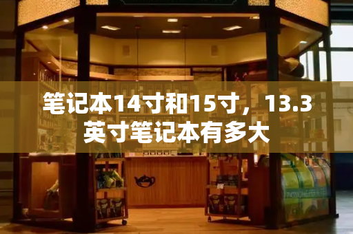 笔记本14寸和15寸，13.3英寸笔记本有多大-第1张图片-星选测评