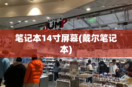 笔记本14寸屏幕(戴尔笔记本)