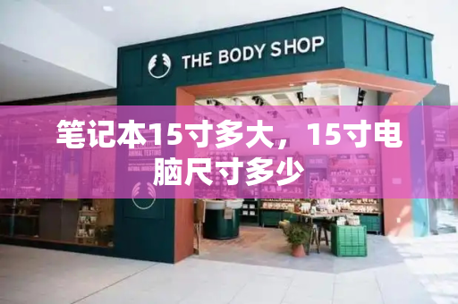 笔记本15寸多大，15寸电脑尺寸多少-第1张图片-星选测评