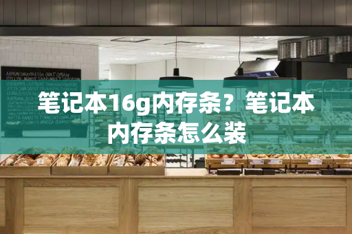 笔记本16g内存条？笔记本内存条怎么装-第1张图片-星选测评