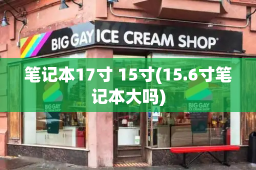 笔记本17寸 15寸(15.6寸笔记本大吗)-第1张图片-星选测评