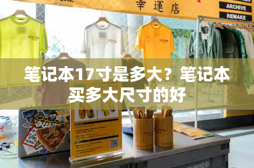 笔记本17寸是多大？笔记本买多大尺寸的好-第1张图片-星选测评