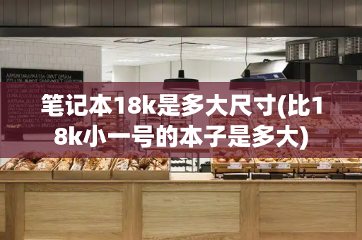 笔记本18k是多大尺寸(比18k小一号的本子是多大)-第1张图片-星选测评