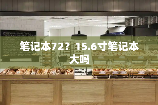 笔记本72？15.6寸笔记本大吗-第1张图片-星选测评