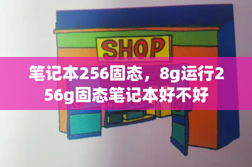 笔记本256固态，8g运行256g固态笔记本好不好