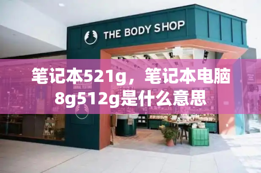 笔记本521g，笔记本电脑8g512g是什么意思-第1张图片-星选测评