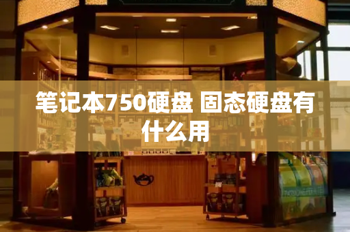 笔记本750硬盘 固态硬盘有什么用