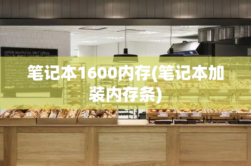 笔记本1600内存(笔记本加装内存条)-第1张图片-星选测评