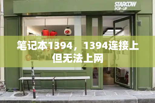 笔记本1394，1394连接上但无法上网
