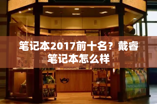 笔记本2017前十名？戴睿笔记本怎么样-第1张图片-星选测评
