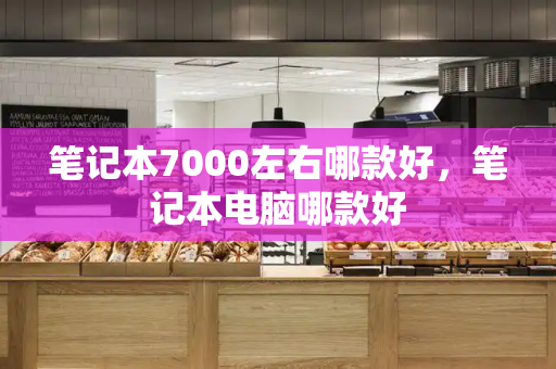 笔记本7000左右哪款好，笔记本电脑哪款好-第1张图片-星选测评