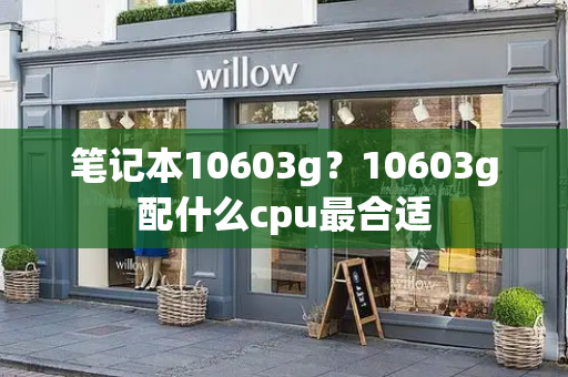 笔记本10603g？10603g配什么cpu最合适