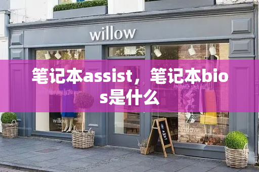 笔记本assist，笔记本bios是什么
