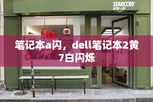笔记本a闪，dell笔记本2黄7白闪烁