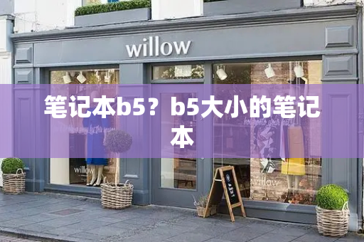 笔记本b5？b5大小的笔记本-第1张图片-星选测评