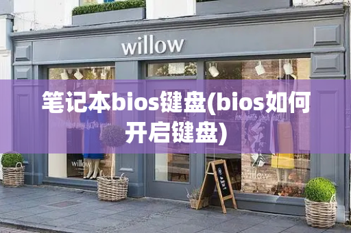 笔记本bios键盘(bios如何开启键盘)-第1张图片-星选测评