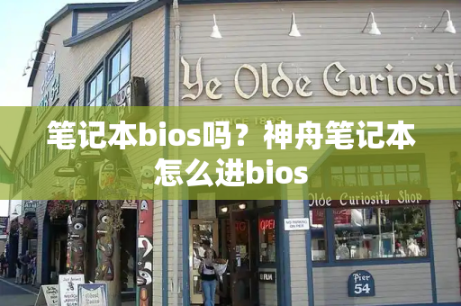 笔记本bios吗？神舟笔记本怎么进bios