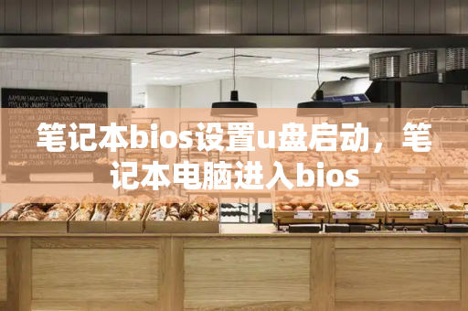 笔记本bios设置u盘启动，笔记本电脑进入bios-第1张图片-星选测评