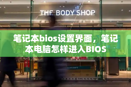 笔记本bios设置界面，笔记本电脑怎样进入BIOS