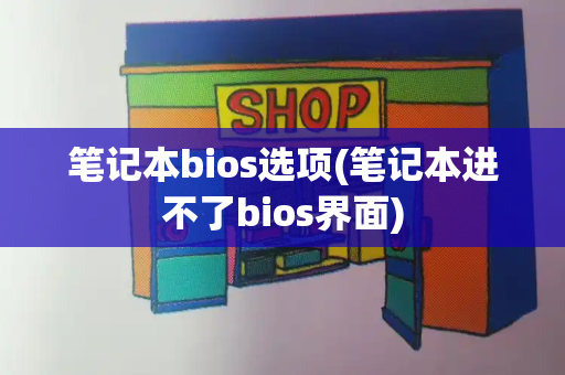 笔记本bios选项(笔记本进不了bios界面)