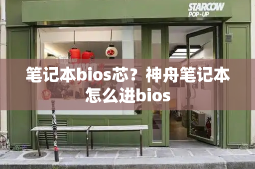 笔记本bios芯？神舟笔记本怎么进bios