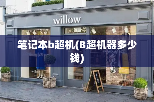 笔记本b超机(B超机器多少钱)