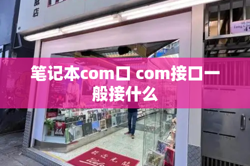 笔记本com口 com接口一般接什么