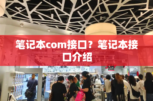 笔记本com接口？笔记本接口介绍-第1张图片-星选测评