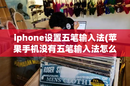 iphone设置五笔输入法(苹果手机没有五笔输入法怎么办)-第1张图片-星选测评